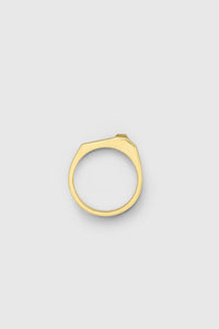 Bastian Ring