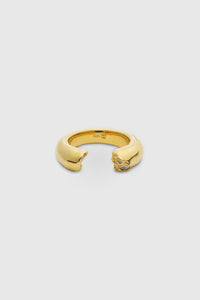Pablo Ring