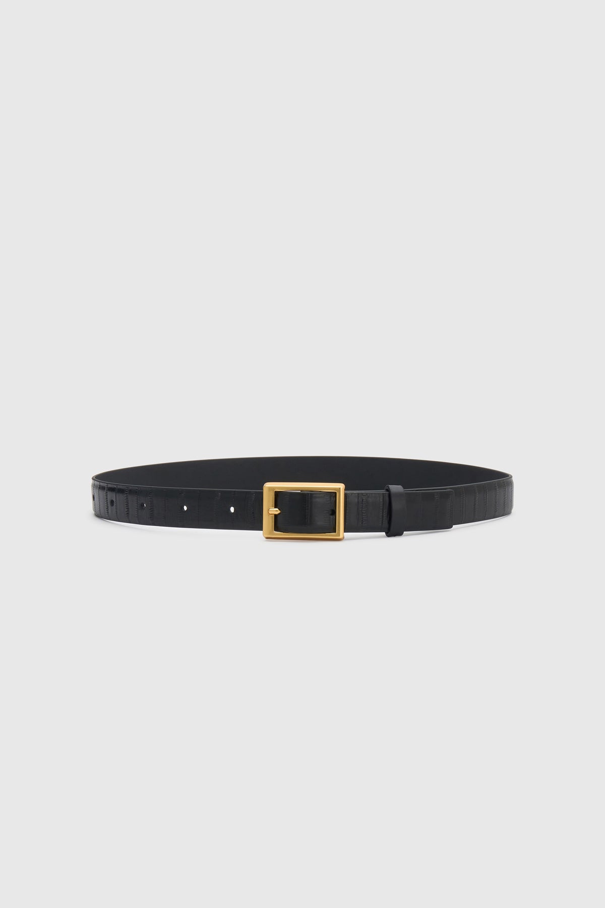 Ghost front view CAMILLA AND MARC Sonny Eel Belt in Black leather with textured eel embossing.